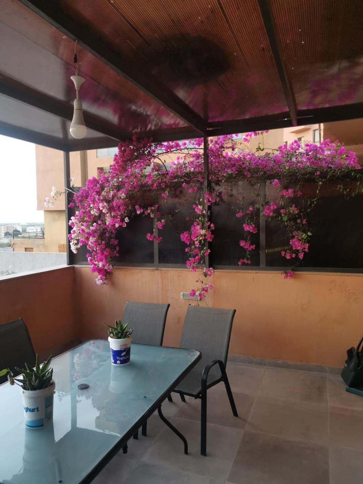 A Wonderful Stay At The Dead Sea Sweimeh Zewnętrze zdjęcie